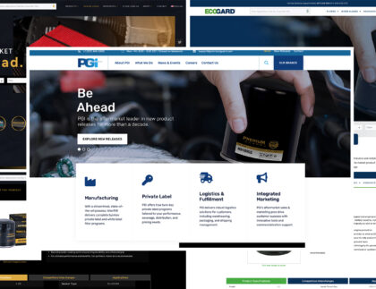 screenshots of pgi's newest websites